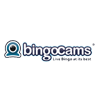 Bingo Cams