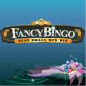 Fancy Bingo